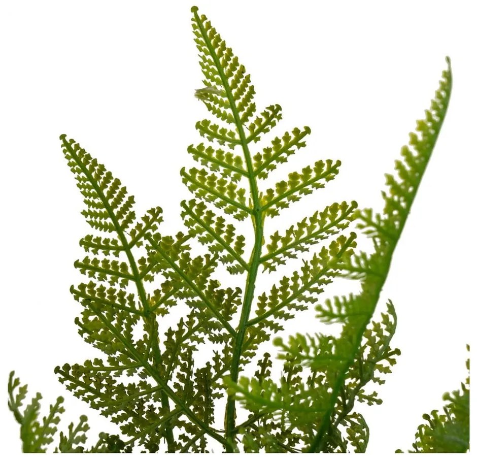 Haraszt műnövény (magasság 45 cm) – Casa Selección