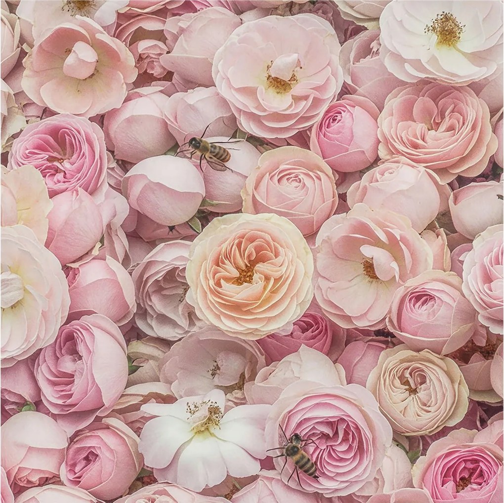 Flizelin tapéta Flizelin Fali Prémium Gyönyörű virágok 250x250 Ragasztó