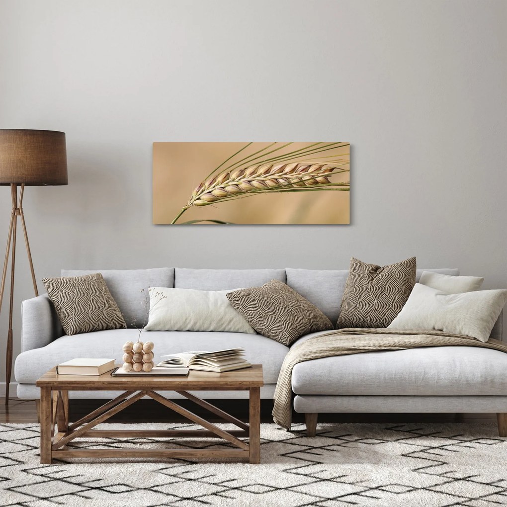 Kép - Búza (120x50 cm)