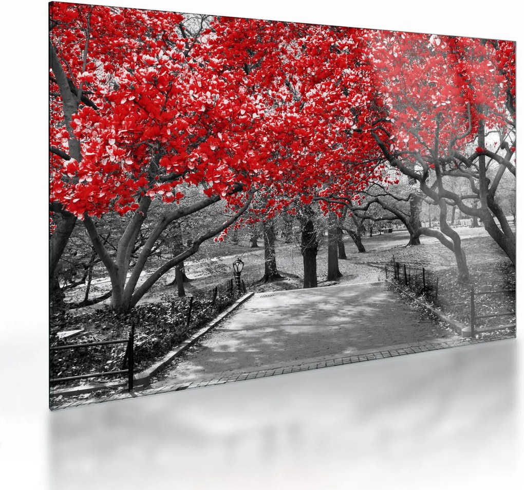 Kép - vörös fák,Central Park, New York (üvegen) (70x50 cm)