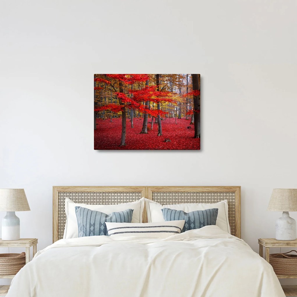 Kép - vörös erdő (70x50 cm)
