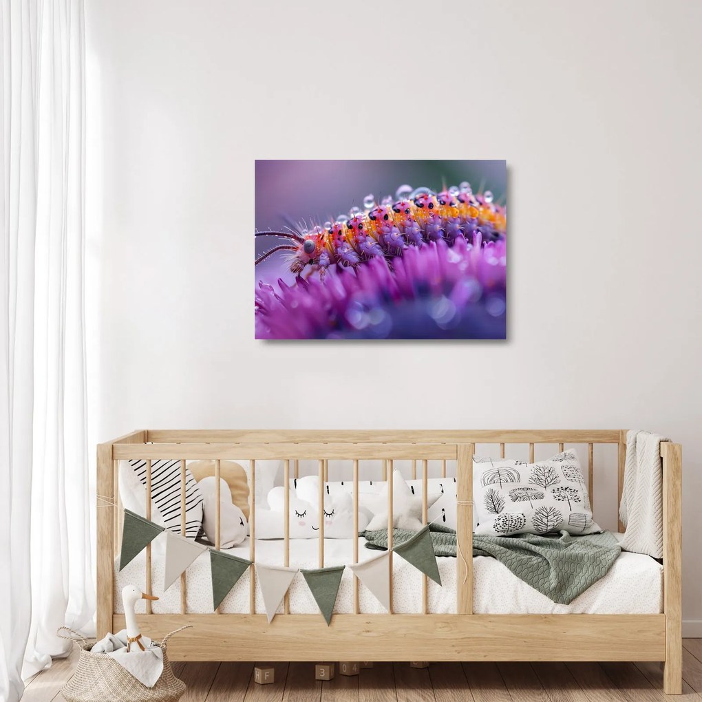 Üveg kép - Caterpillar (70x50 cm)