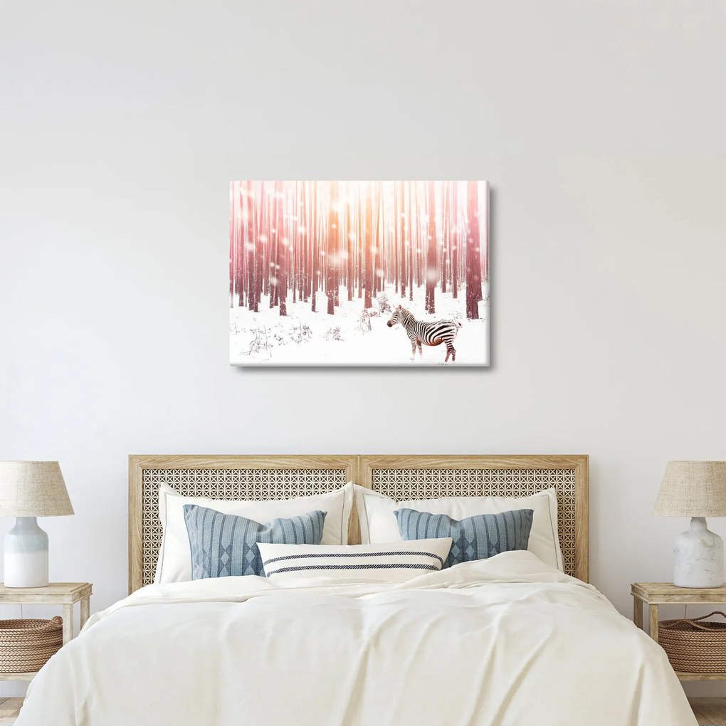 Kép - Zebra egy havas erdőben (70x50 cm)
