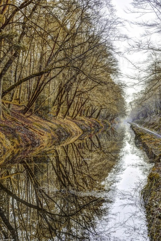 Poszter 20x30cm Csatorna az erdőben, Assaf Frank