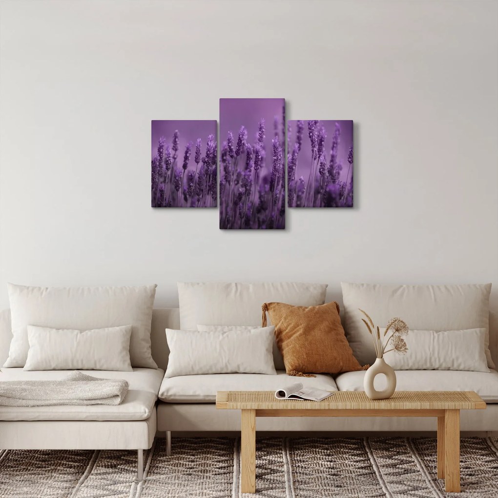 Kép - Levendula (90x60 cm)