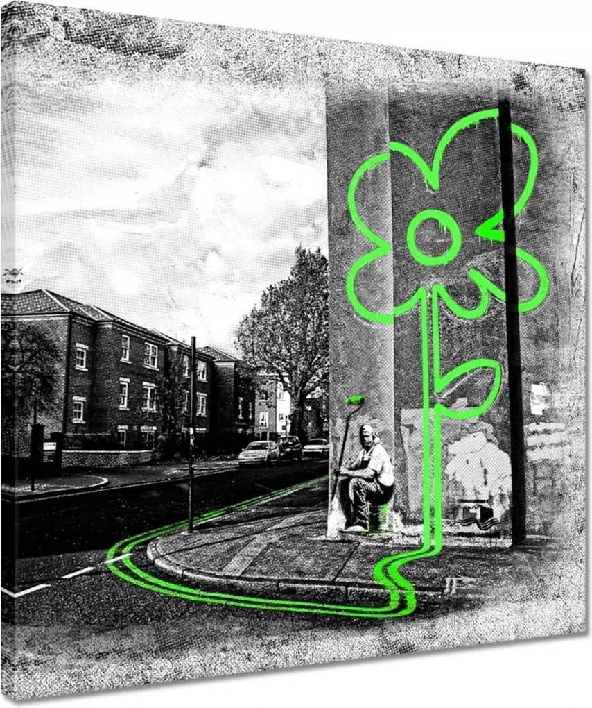 Vászonkép 40x40 Banksy Lime virág