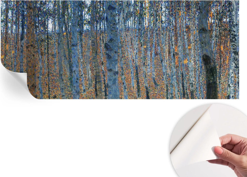 Dekoratív öntapadós fotótapéta Hálószobába Nyírerdő 250x104 cm