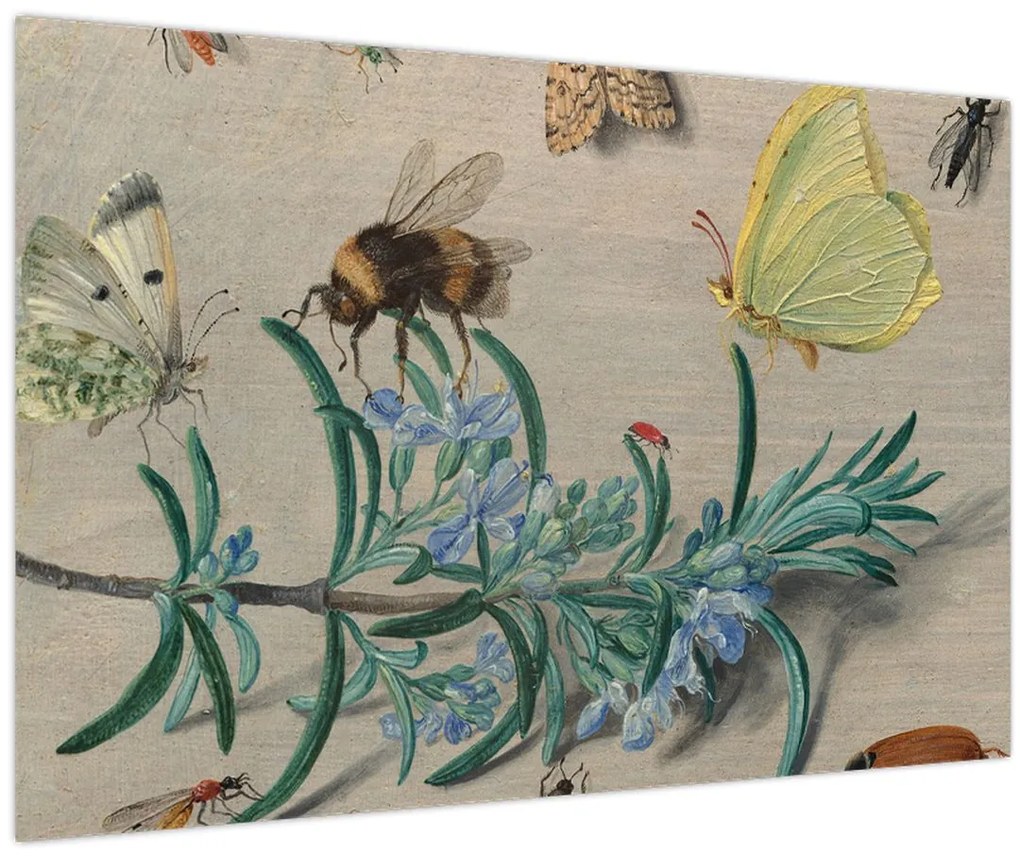 Kép - Jan van Kessel the Elder, Insects and a Sprig of Rosemary, reprodukciók (90x60 cm)