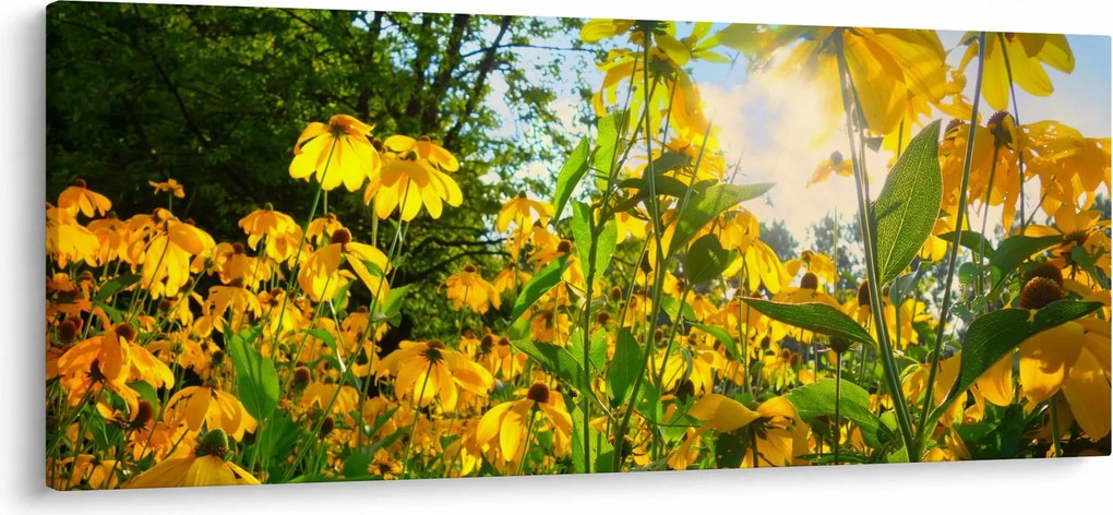Sárga virágok képe (120x50 cm)