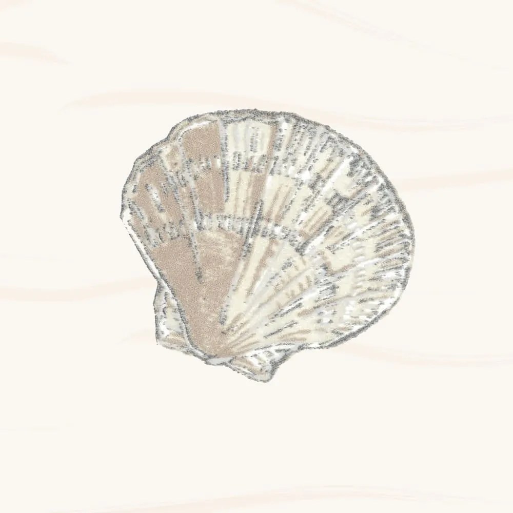 Zuhanyfüggöny 120x200 cm Atlantis – Spirella