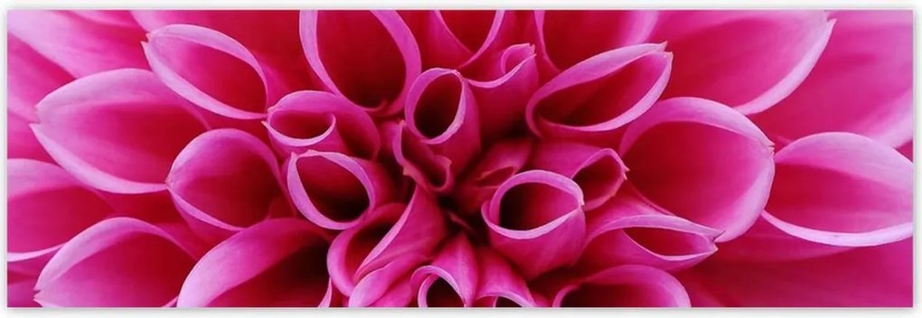 Poszterek 200x66 Liliom