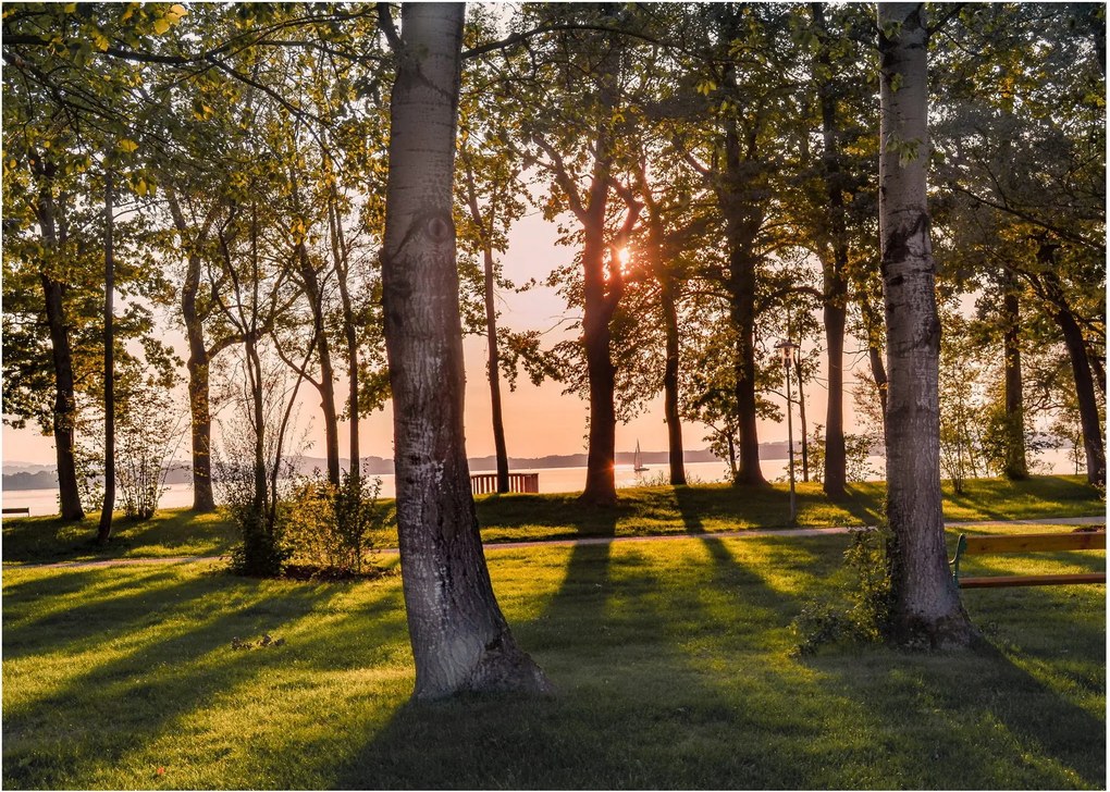 Fák a tó mellett képe (üvegen) (70x50 cm)