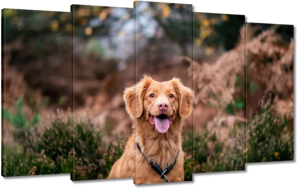Vászonkép 100x60 Kutya Kutyák