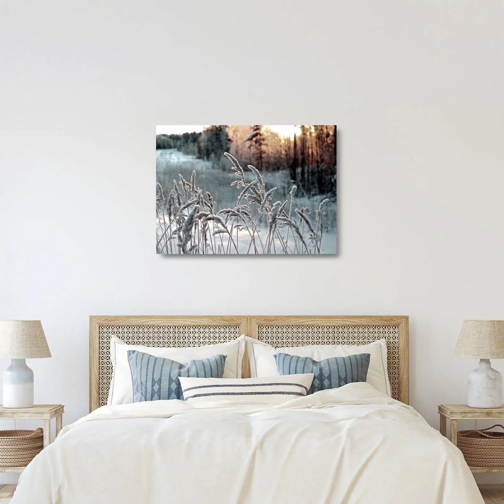 Üveg kép - Fagyott rét (70x50 cm)