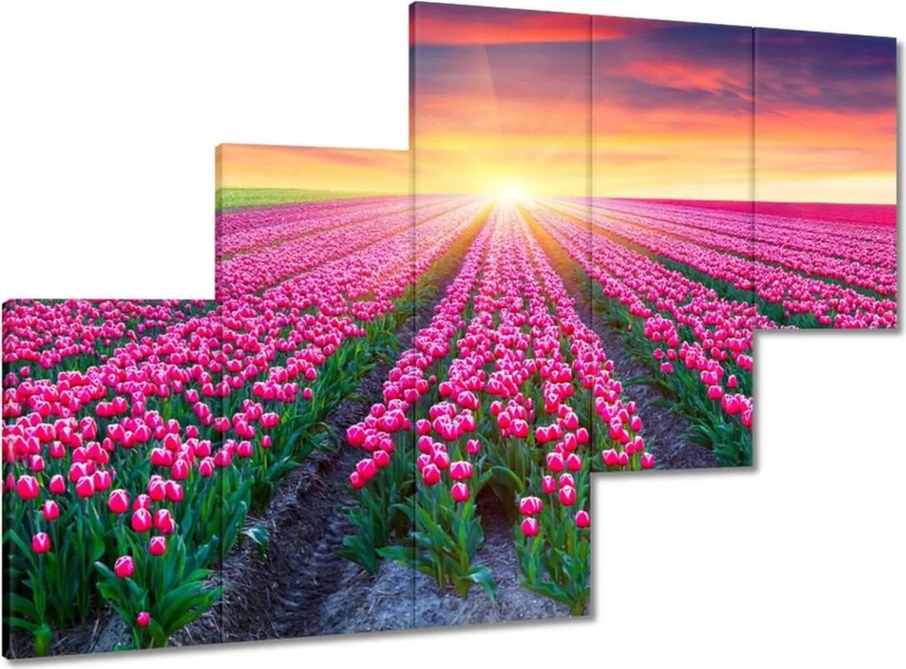 Vászonkép 150x105 Tulipánok tengere Virágok