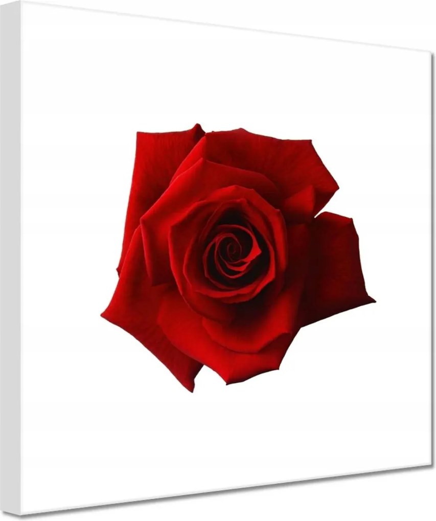 Vászonkép 60x60 Nőnap Ajándék Love