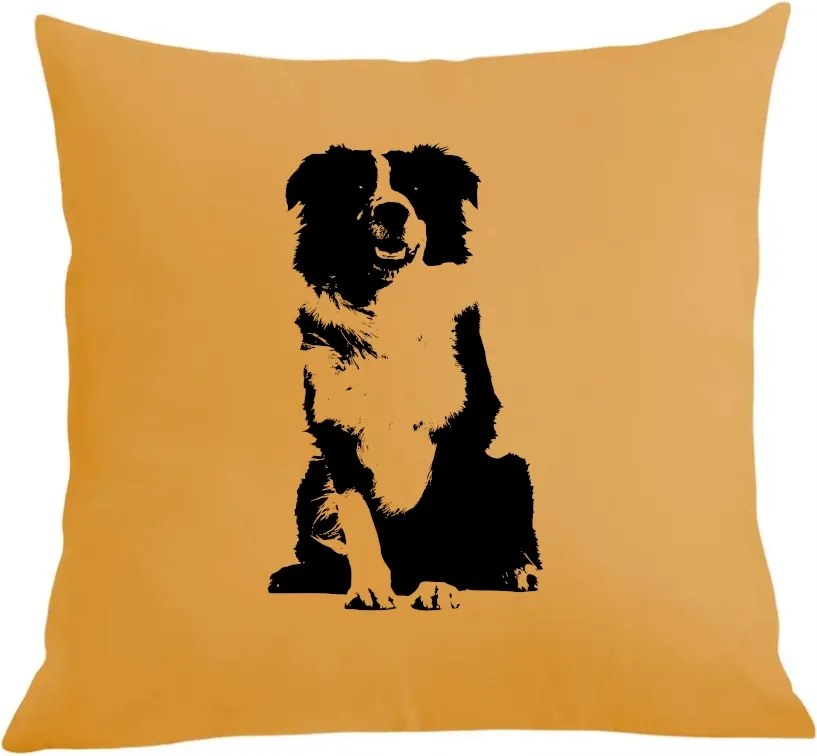 Párna párnahuzat Border Collie Kutya mintás