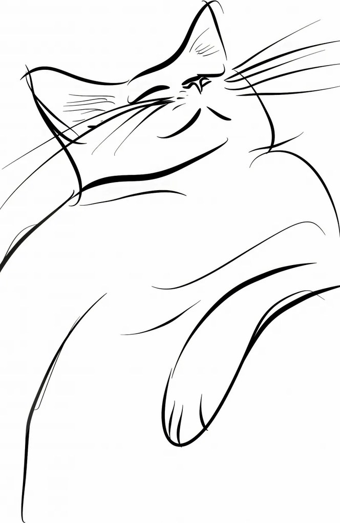 Poszter 50x100cm Macskaelégedettség vázlat