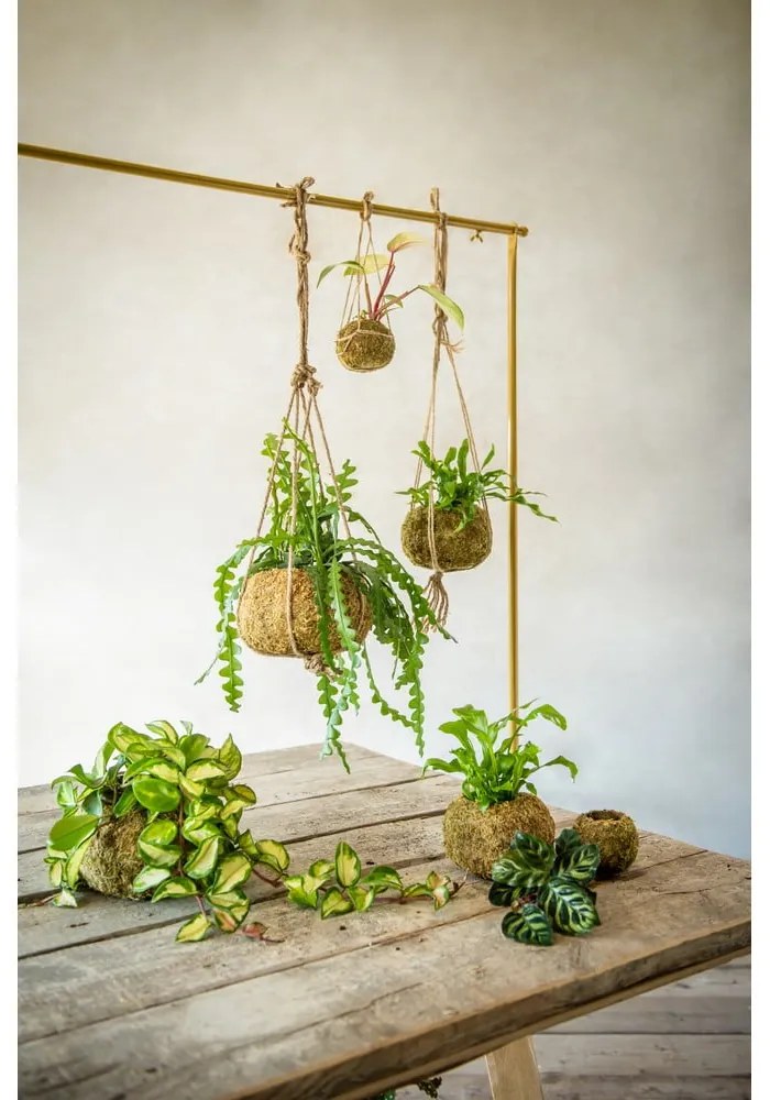 Virágcserép ø 20 cm Kokedama – Esschert Design