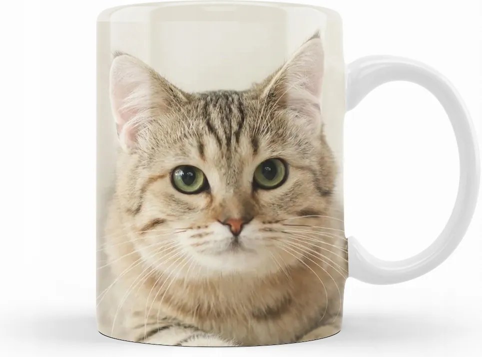 Macska Bögre Házi Macska születésnapi ajándék 330 ml