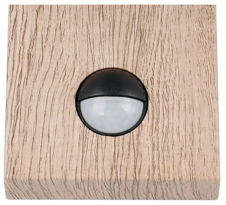 Fali kültéri lámpa (magasság 33 cm) Sambesi – Trio