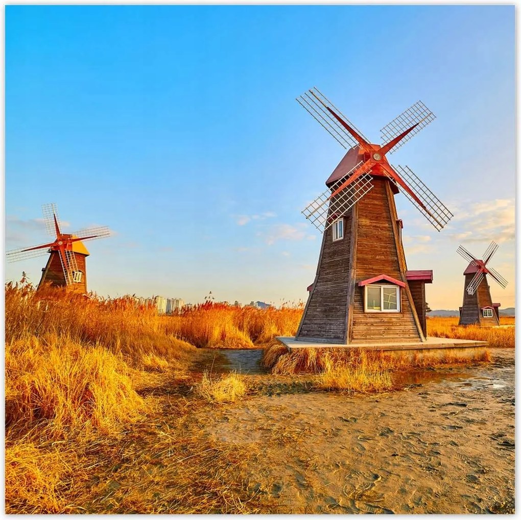 Poszterek 100x100 Fa szélmalom Tájképek