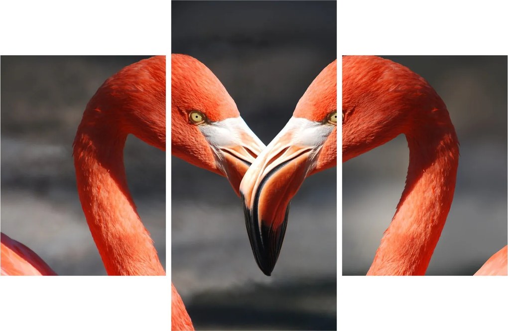 Két szerelmes flamingó képe (90x60 cm)