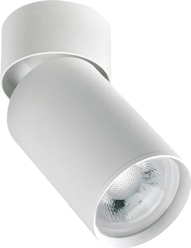 Zambelis CEILING SPOT S123 Felületi spotlámpa 1x40w/GU10 IP20