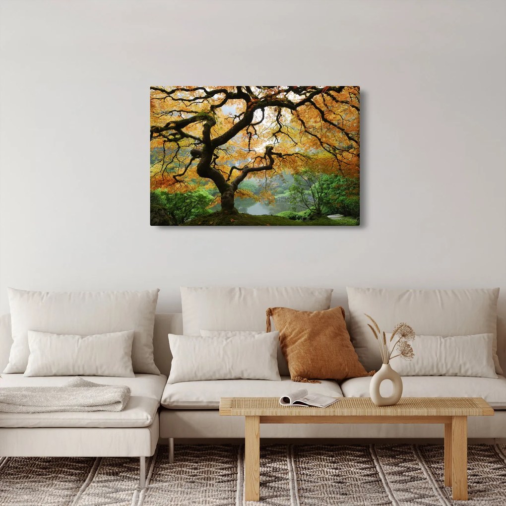 Egy sárga japán juhar képe, Portland, Oregon (90x60 cm)