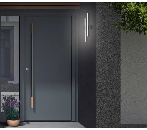 Telefunken - LED kültéri fali lámpatest 2xLED/4W/230V IP44 fekete