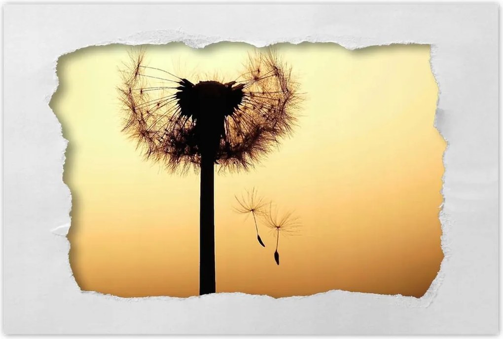 Poszterek 120x80 Pitypang Virág Virágok