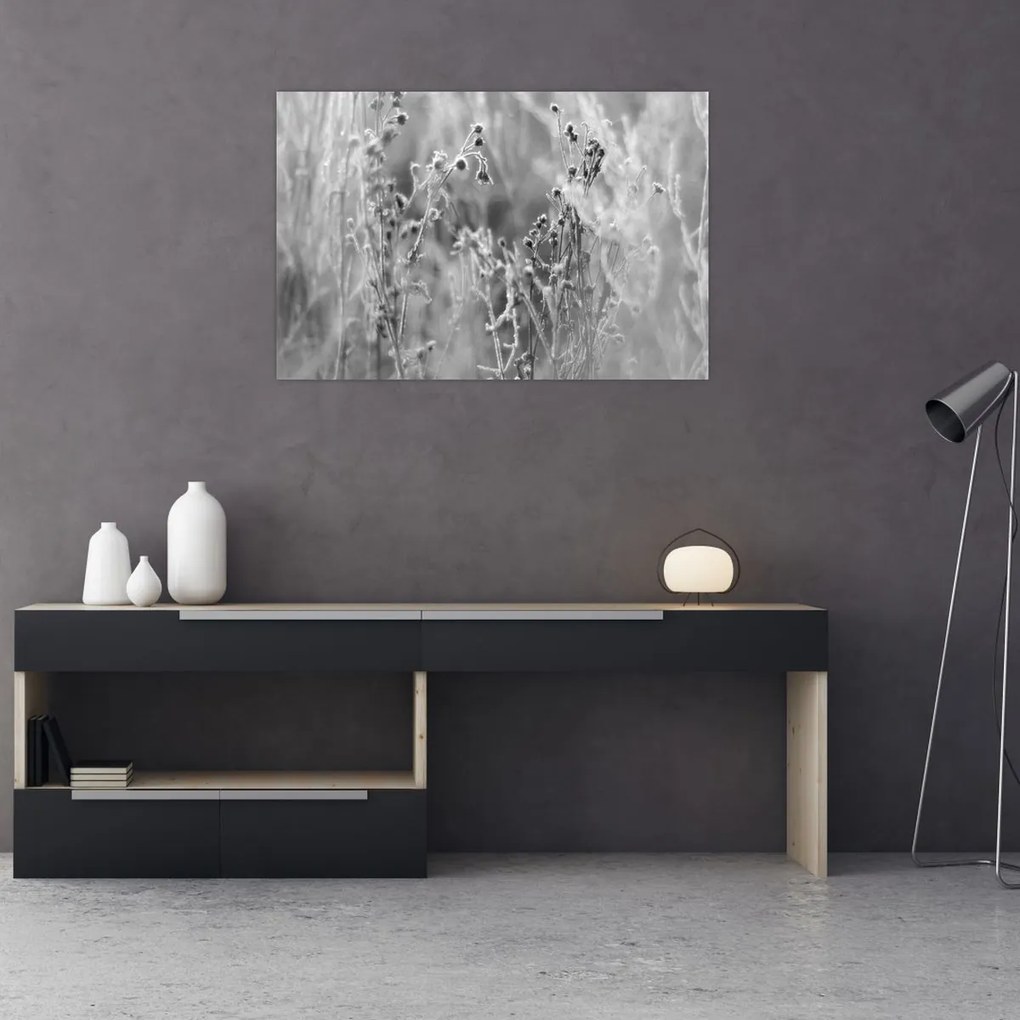 Kép - Wild Meadow (90x60 cm)