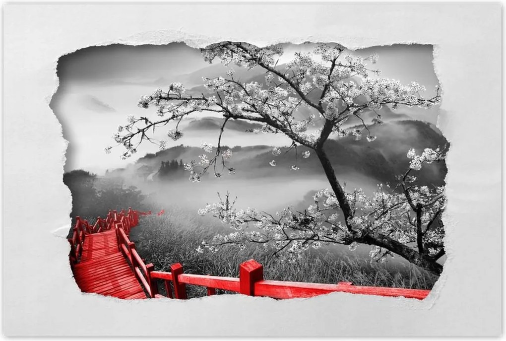 Poszterek 120x80 Virágzó cseresznye Japán