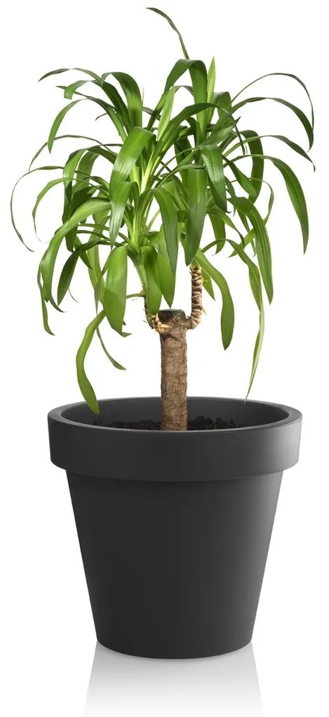 Gardenico Metro Twist 'n' Roll virágtartó, antracit, 39 x 35,5 cm, 39 cm