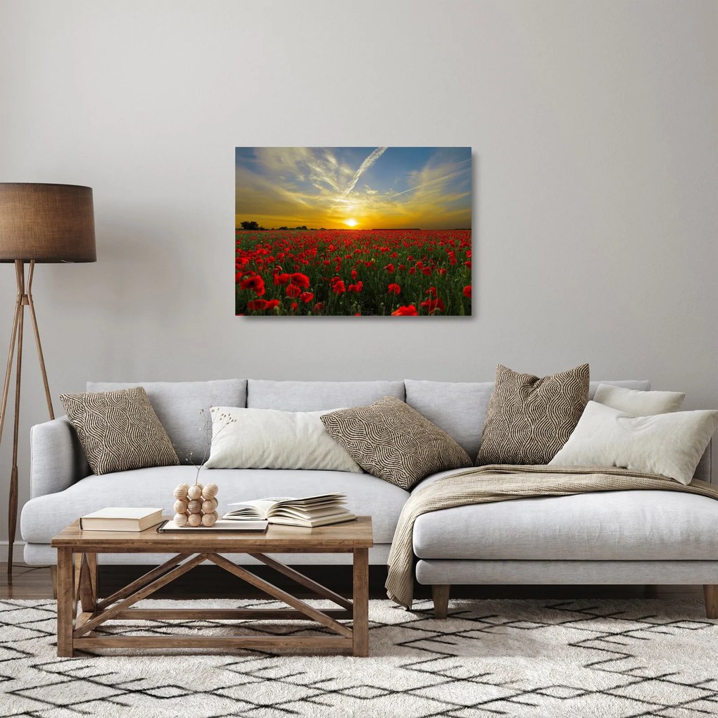 Egy kép a pipacs mezőről (üvegen) (70x50 cm)