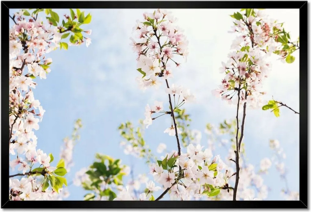 Poszterek keretben 60x40 Virágok