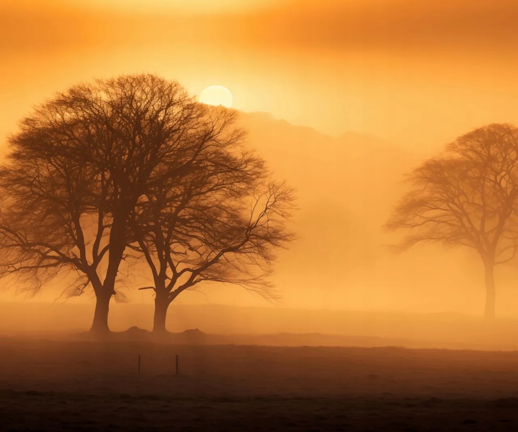 Poszter 60x50cm Alkonyat a tisztások felett