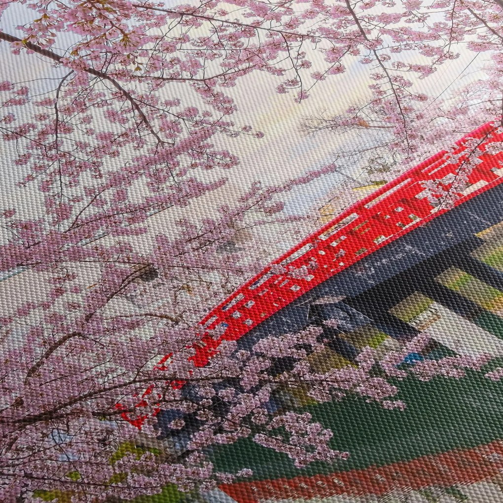 Kép - Hirosaki, Japán (90x60 cm)