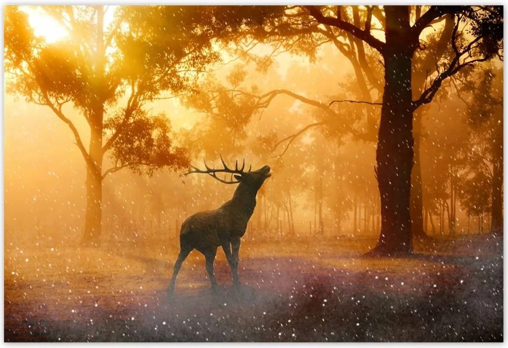 Poszterek 185x125 Szarvas az erdőben