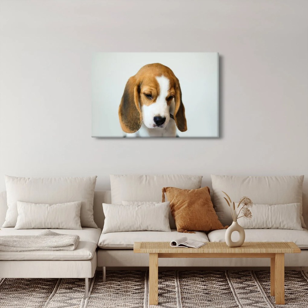 Beagle képe (90x60 cm)