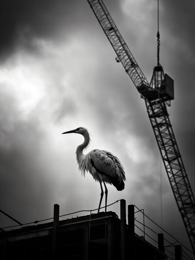 Poszter 15x20cm Magasan a horizont felett