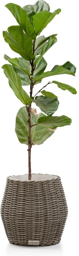 Grande Fiore mesterséges rattan kerti kaspó- Le Bonom