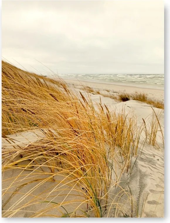Tenger dűnék poszter kép 21x30 cm kép #168