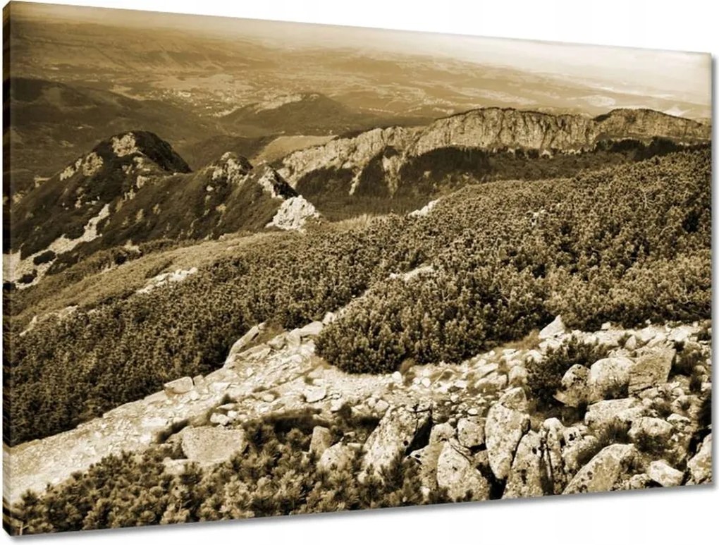 Vászonkép 90x60 Tátra Lengyel hegyek Kilátás