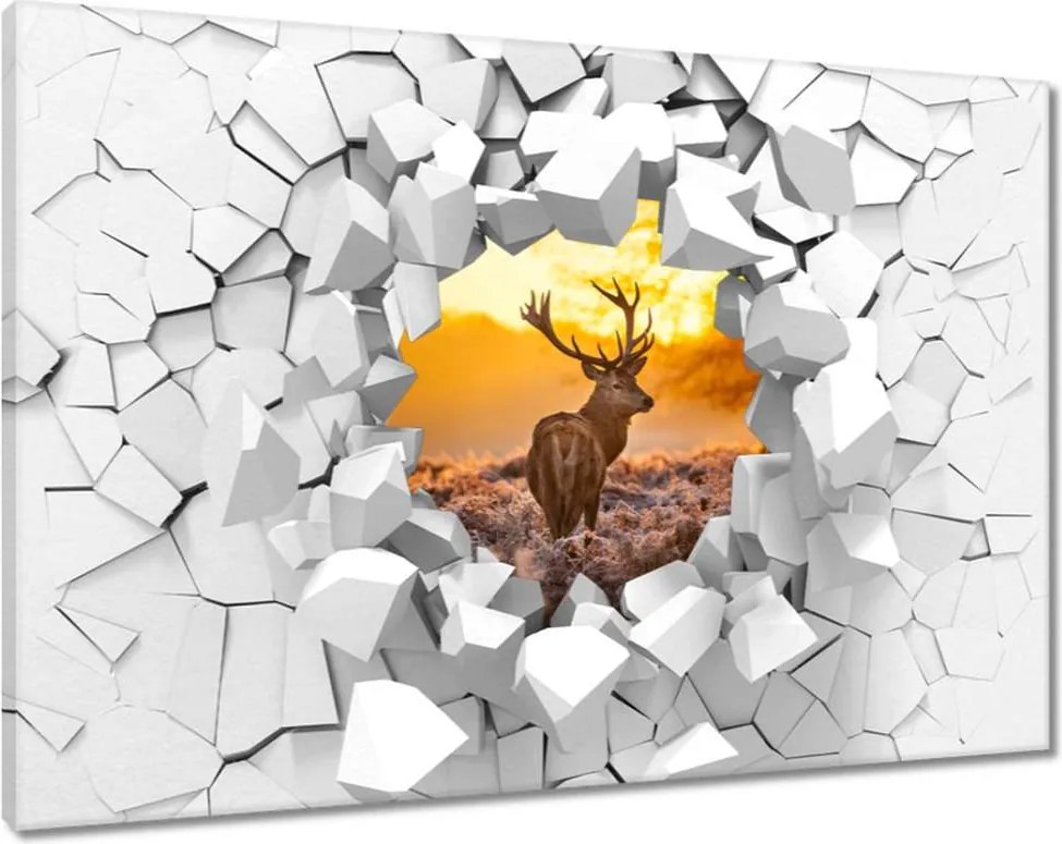 Vászonkép 60x40 Szarvas naplementekor