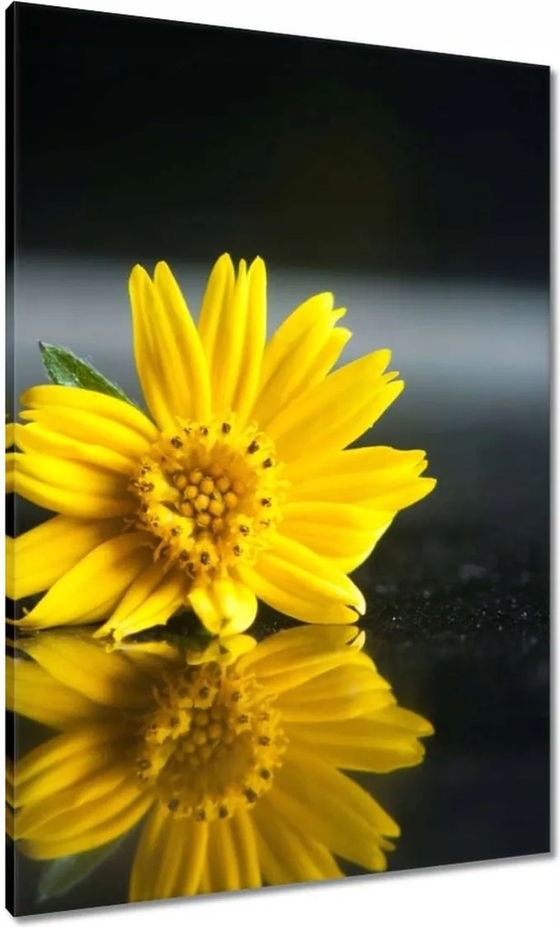 Vászonkép 70x100 Sárga virág