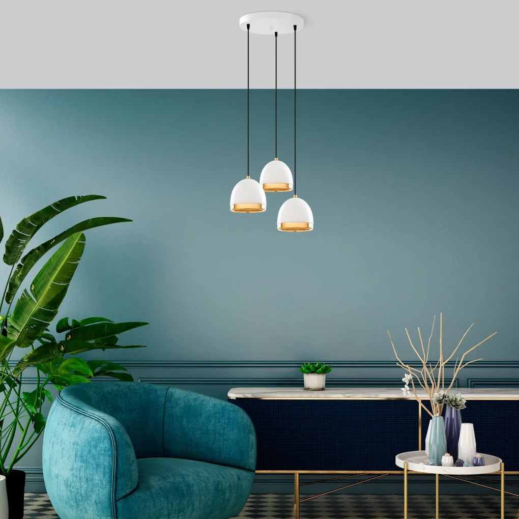 Mugo - 10650