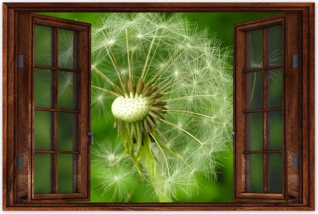 Poszterek 90x60 Pitypang Virág Virágok