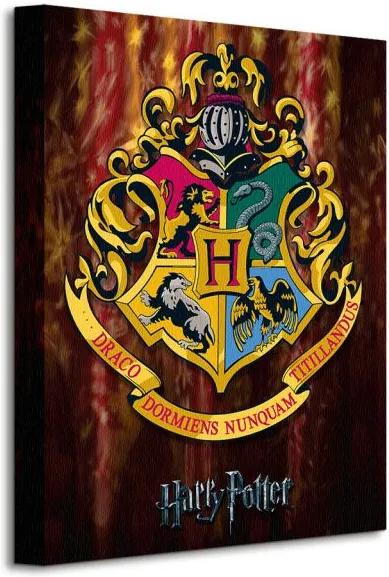Vászonkép Harry Potter (Hogwarts Crest) 30x40cm WDC92245
