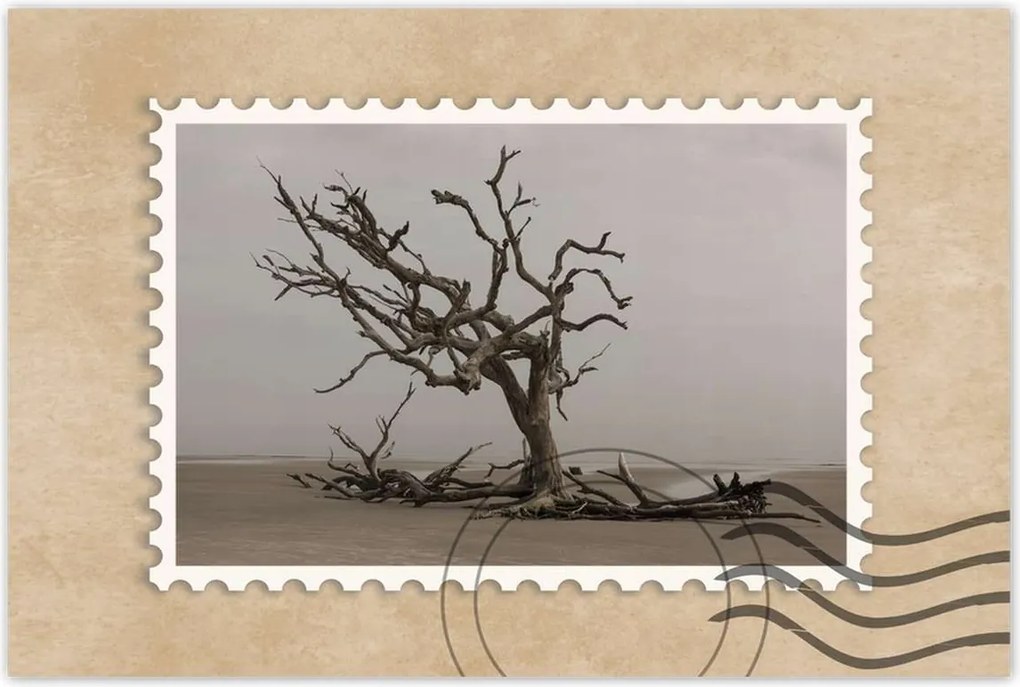 Poszterek 120x80 Fa Fák Kilátás